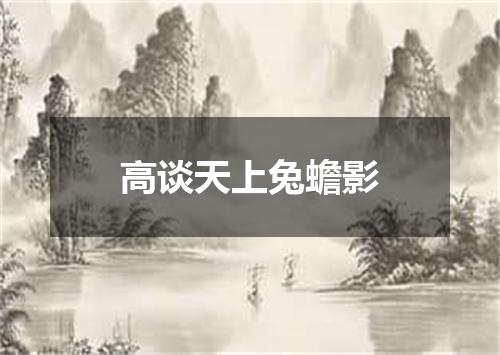 高谈天上兔蟾影