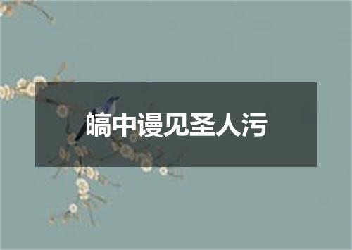 皜中谩见圣人污