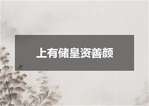 上有储皇资善颜