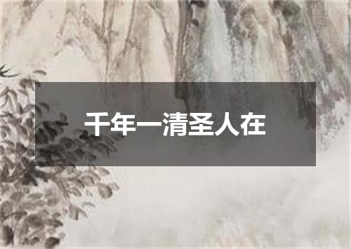 千年一清圣人在