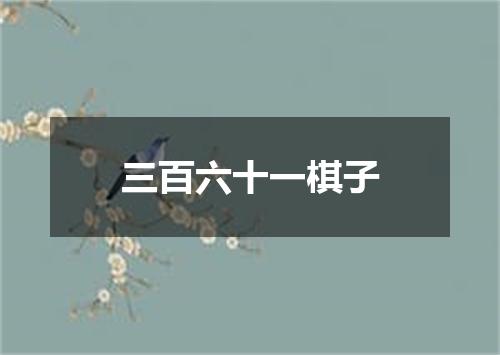 三百六十一棋子