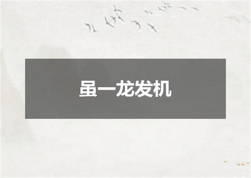 虽一龙发机