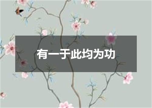 有一于此均为功