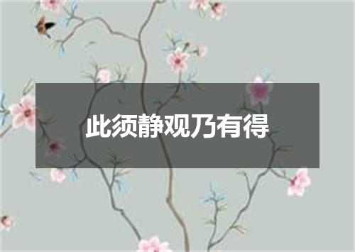 此须静观乃有得