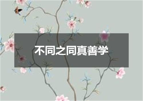 不同之同真善学