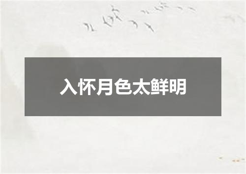 入怀月色太鲜明