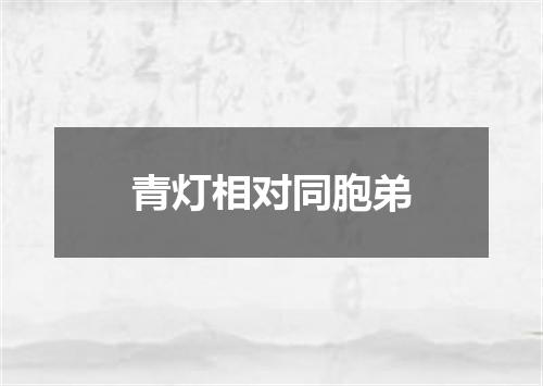 青灯相对同胞弟