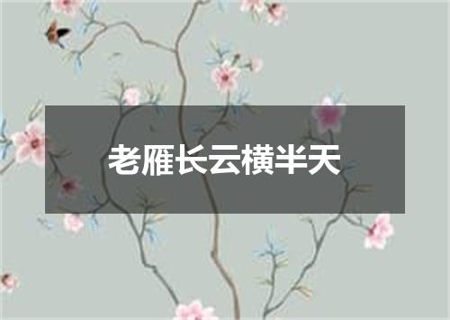 老雁长云横半天