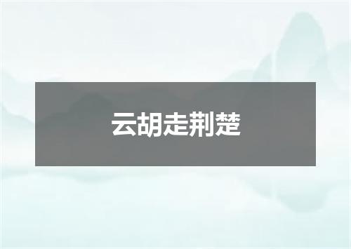 云胡走荆楚