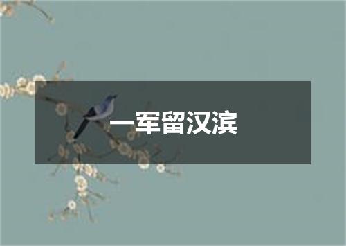 一军留汉滨