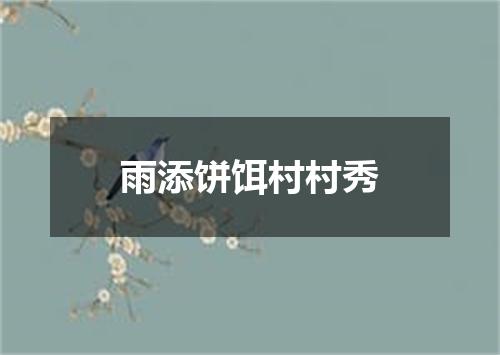 雨添饼饵村村秀