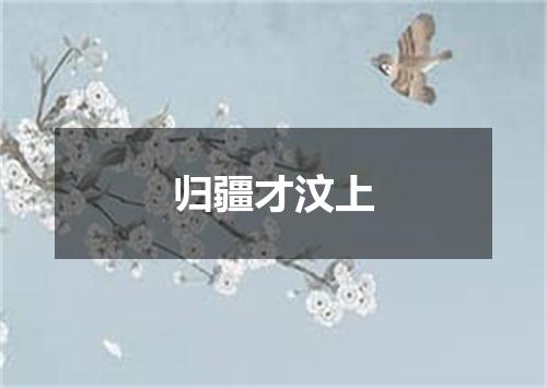归疆才汶上
