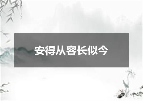 安得从容长似今
