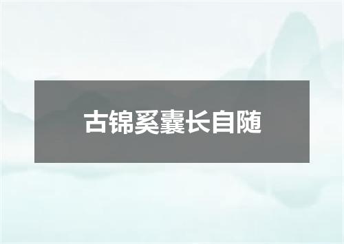 古锦奚囊长自随