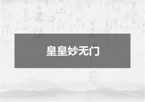 皇皇妙无门