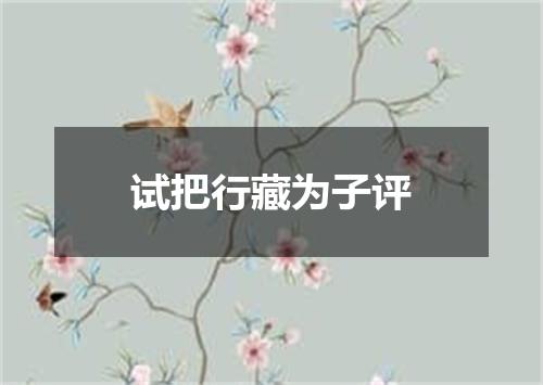 试把行藏为子评