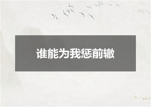 谁能为我惩前辙
