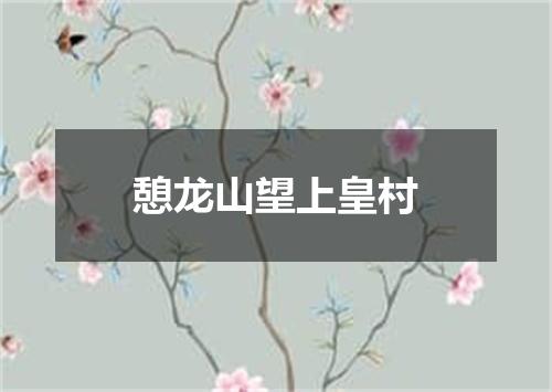 憩龙山望上皇村