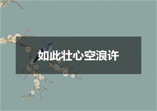 如此壮心空浪许