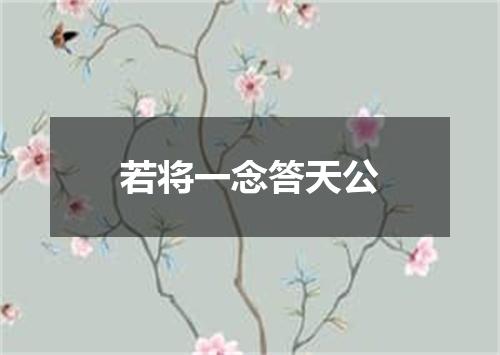 若将一念答天公