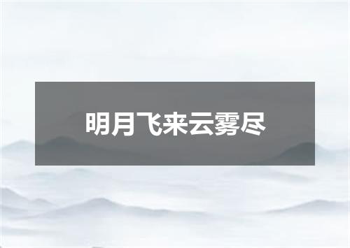 明月飞来云雾尽