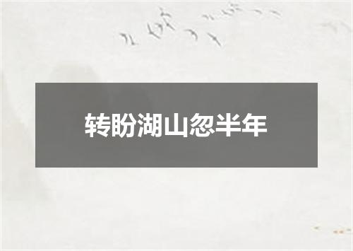 转盼湖山忽半年