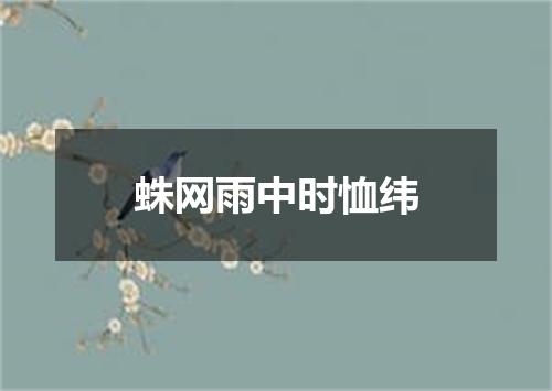 蛛网雨中时恤纬