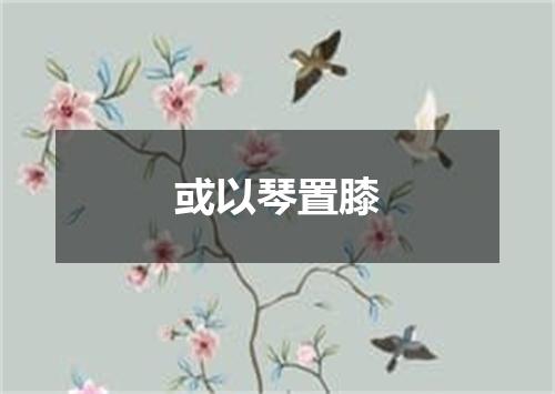 或以琴置膝