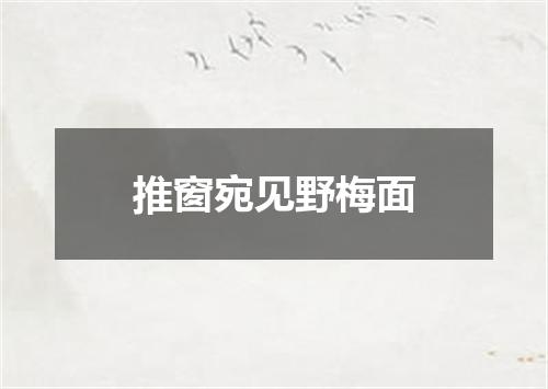 推窗宛见野梅面