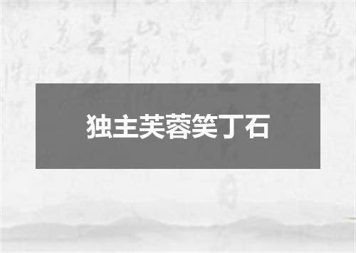 独主芙蓉笑丁石