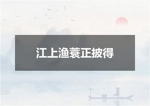 江上渔蓑正披得