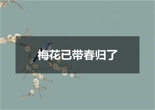 梅花已带春归了
