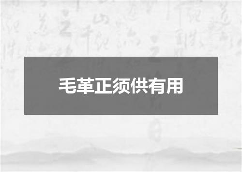 毛革正须供有用
