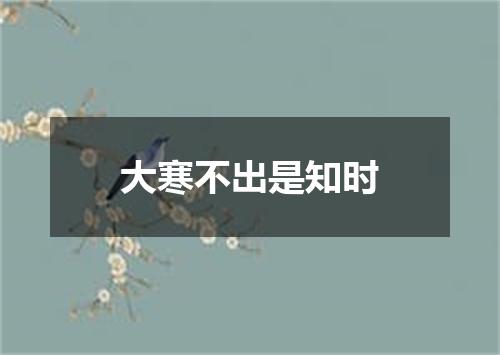 大寒不出是知时