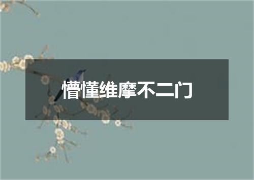 懵懂维摩不二门