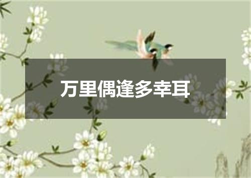 万里偶逢多幸耳