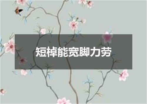 短棹能宽脚力劳