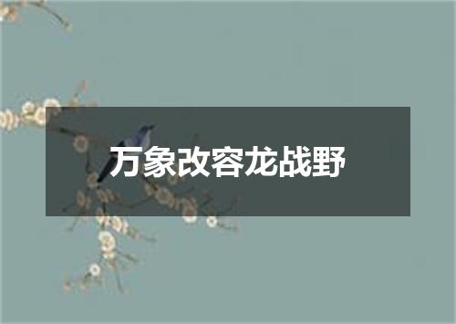 万象改容龙战野
