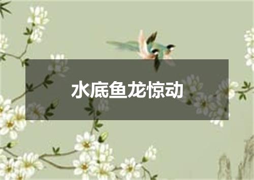 水底鱼龙惊动
