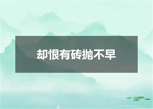 却恨有砖抛不早