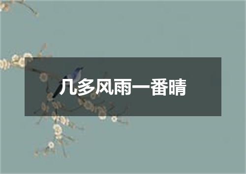 几多风雨一番晴