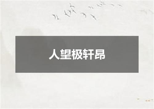 人望极轩昂