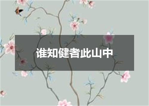 谁知健者此山中