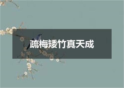 疏梅矮竹真天成