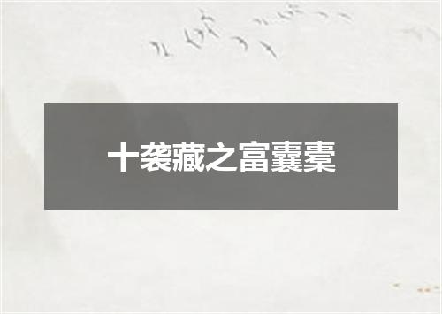 十袭藏之富囊橐