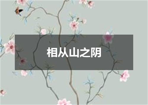 相从山之阴