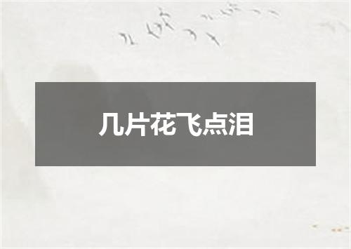 几片花飞点泪
