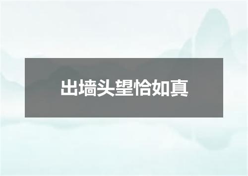 出墙头望恰如真