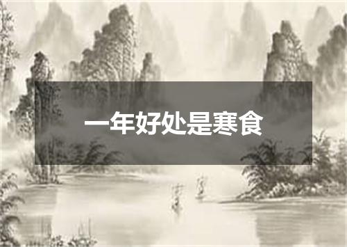 一年好处是寒食