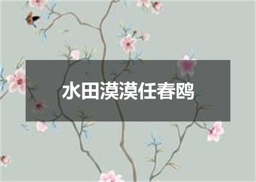 水田漠漠任春鸥